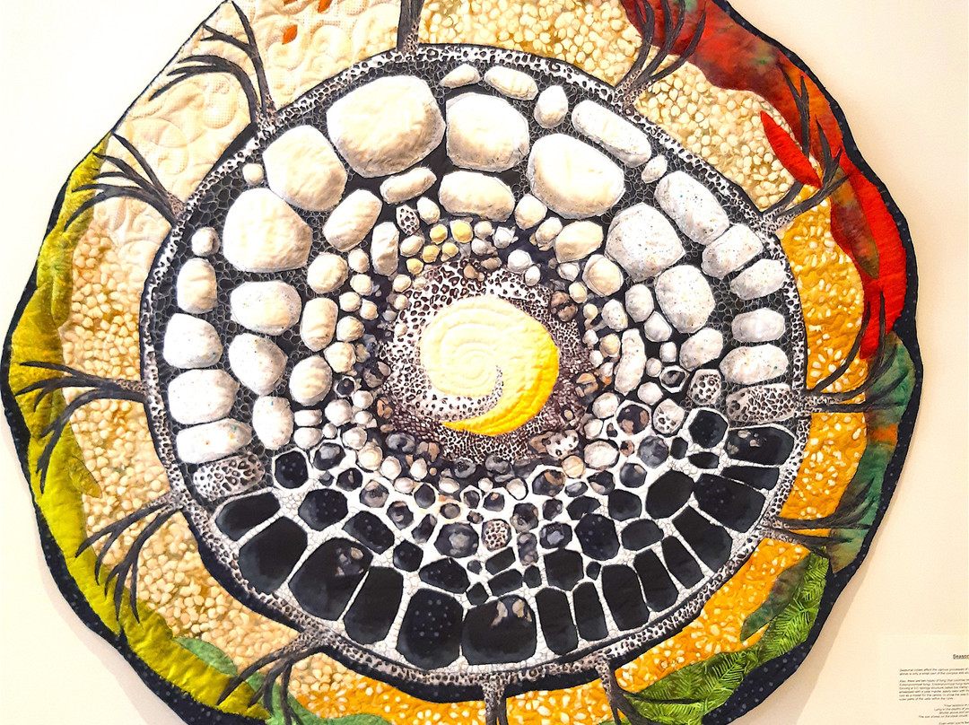 Mary E. Black Gallery-哈利法克斯必去景点