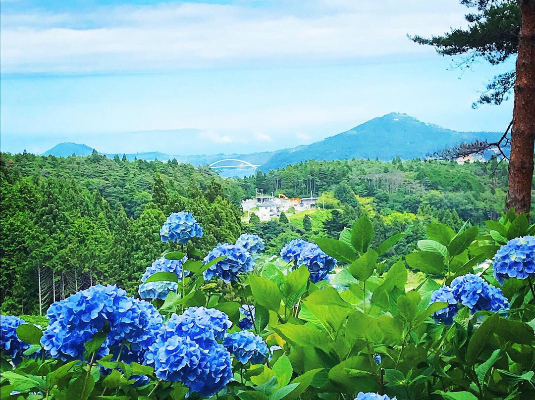 Akasaka Public Park-气仙沼市必去景点