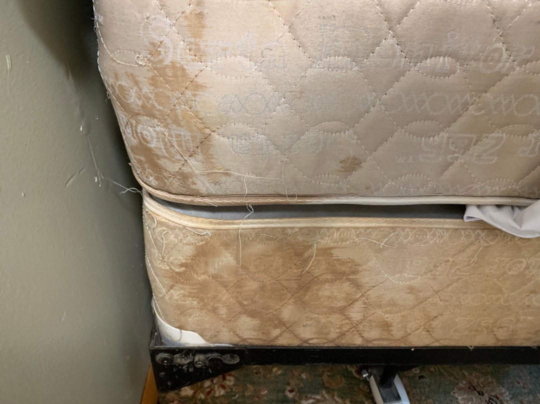 Plantation Motel主图