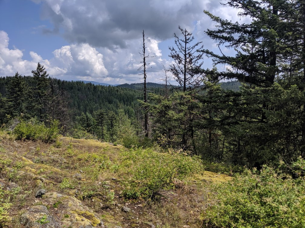 Champion Lakes Provincial Park景点图片