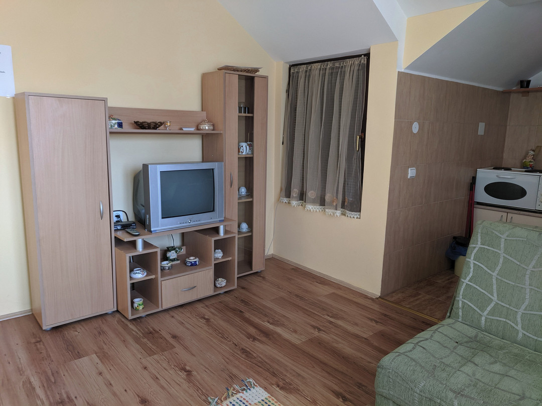 Apartments Popovic主图