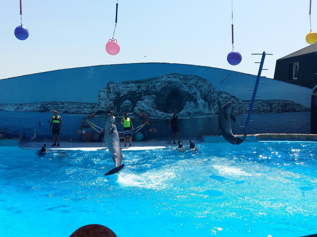Dolphinarium-Olenevka必去景点