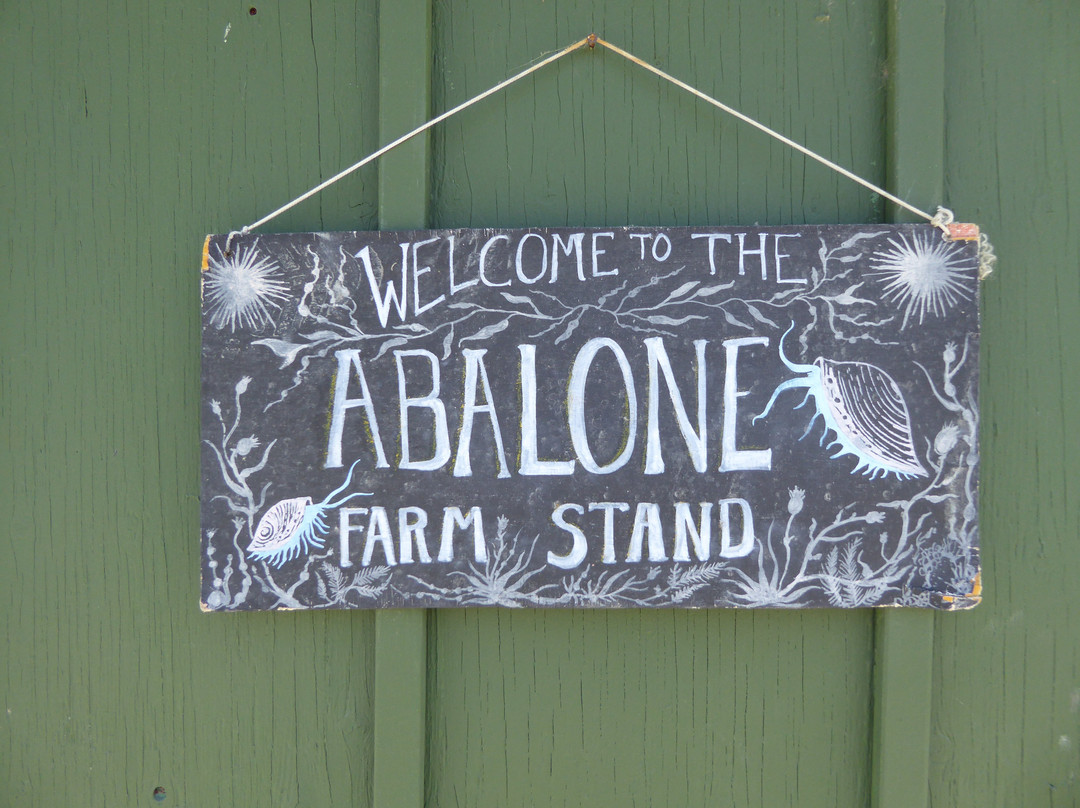 American Abalone Farms景点图片
