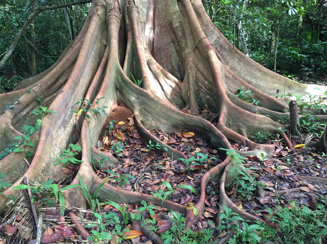 Aquicuana Reserve-Riberalta必去景点