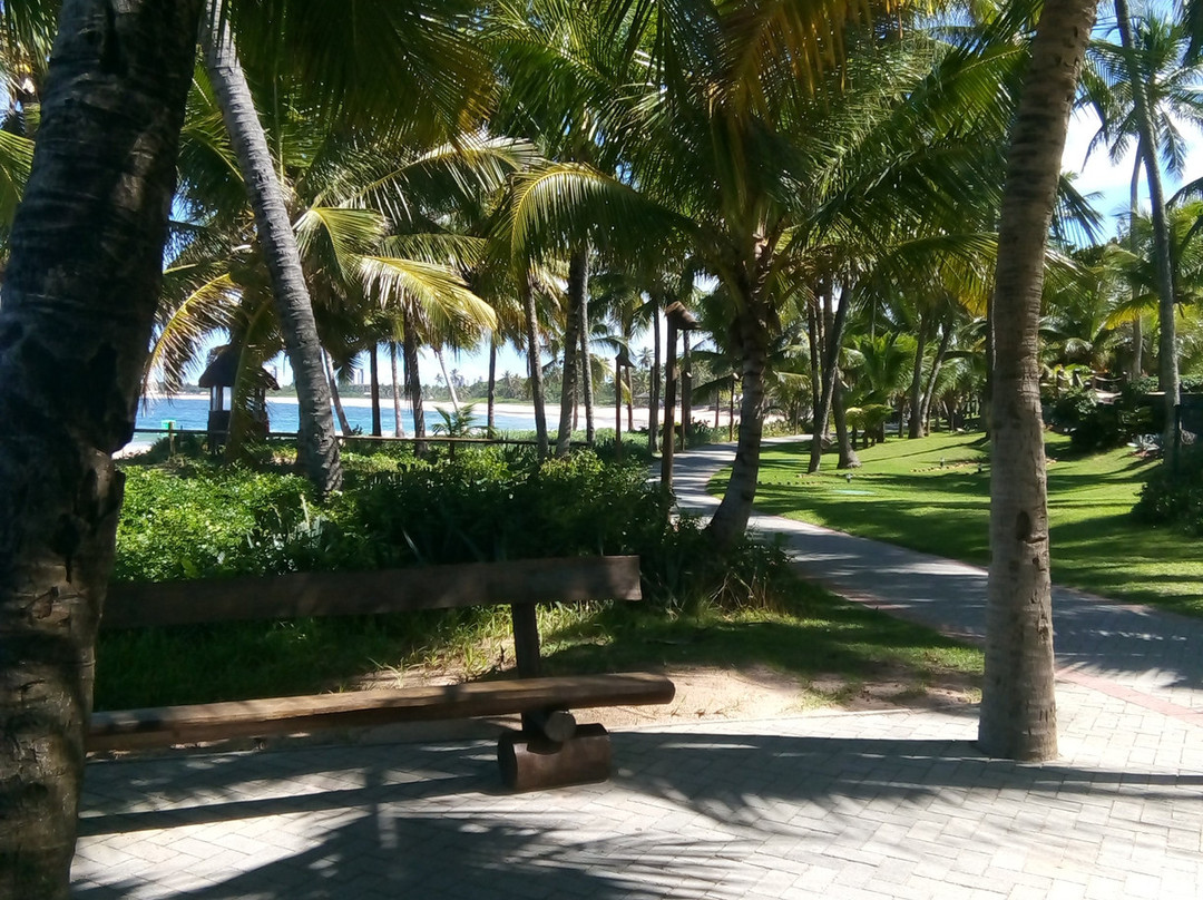 Bahia Plaza Hotel主图