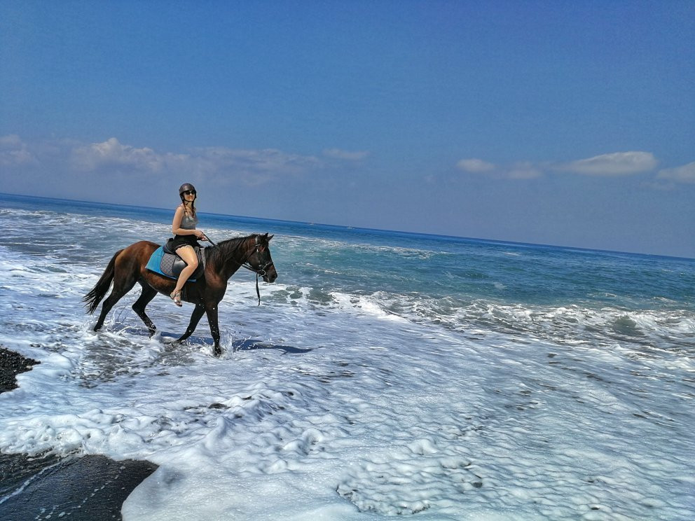 Bali Horse Riding景点图片
