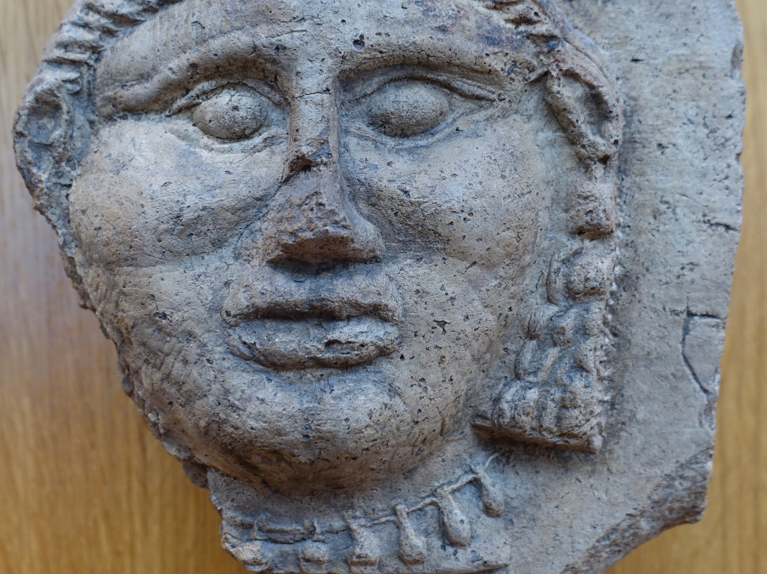 Museo Archeologico Provinciale di Salerno景点图片