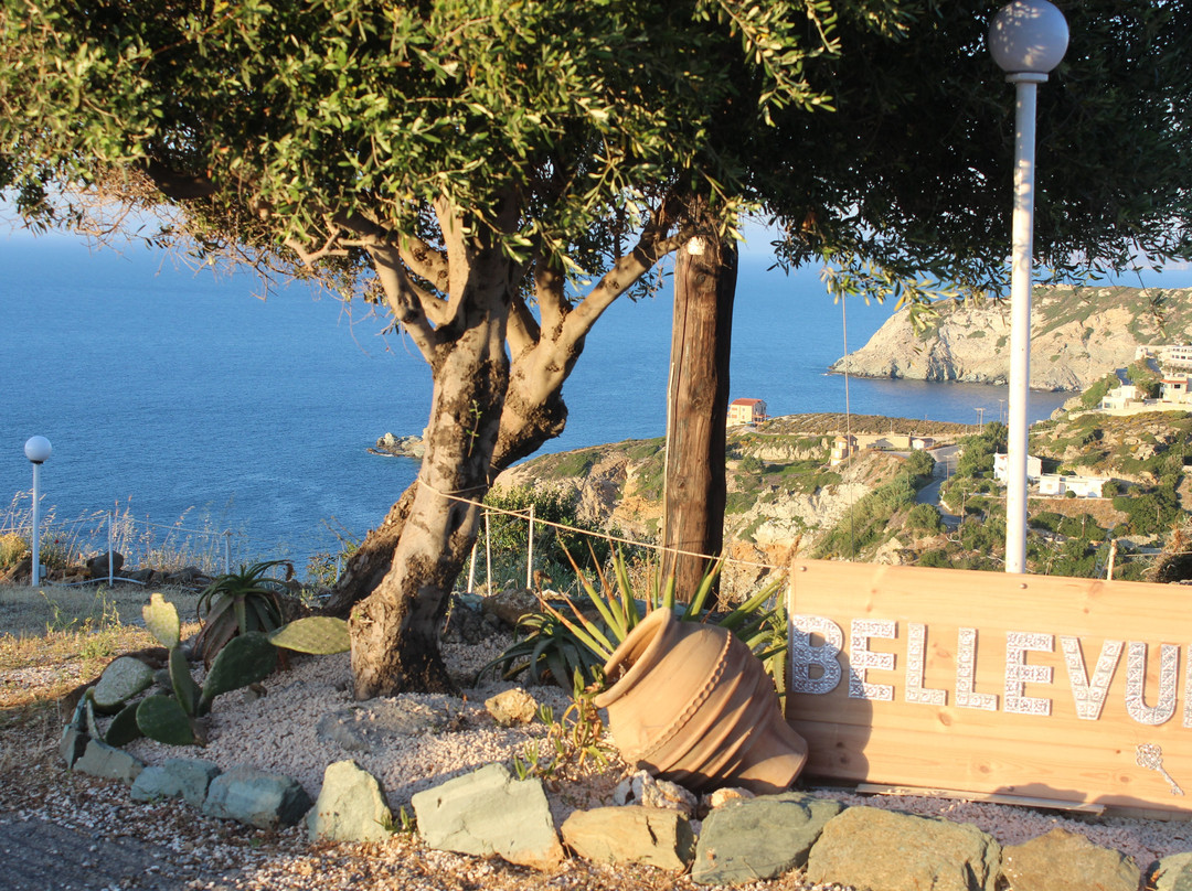 Bellevue Village主图