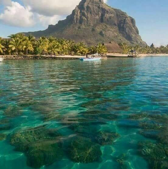 Mauritius Sea Discovery-阿尔比恩必去景点