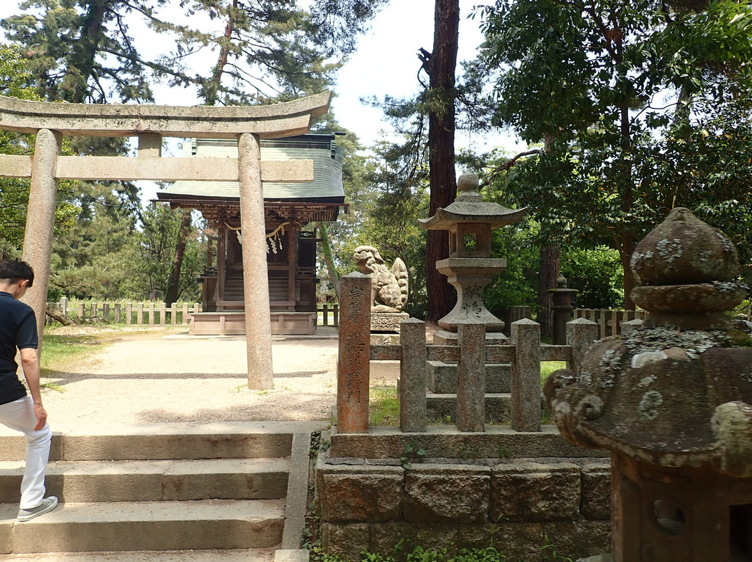 Amanohashidate Shrine景点图片