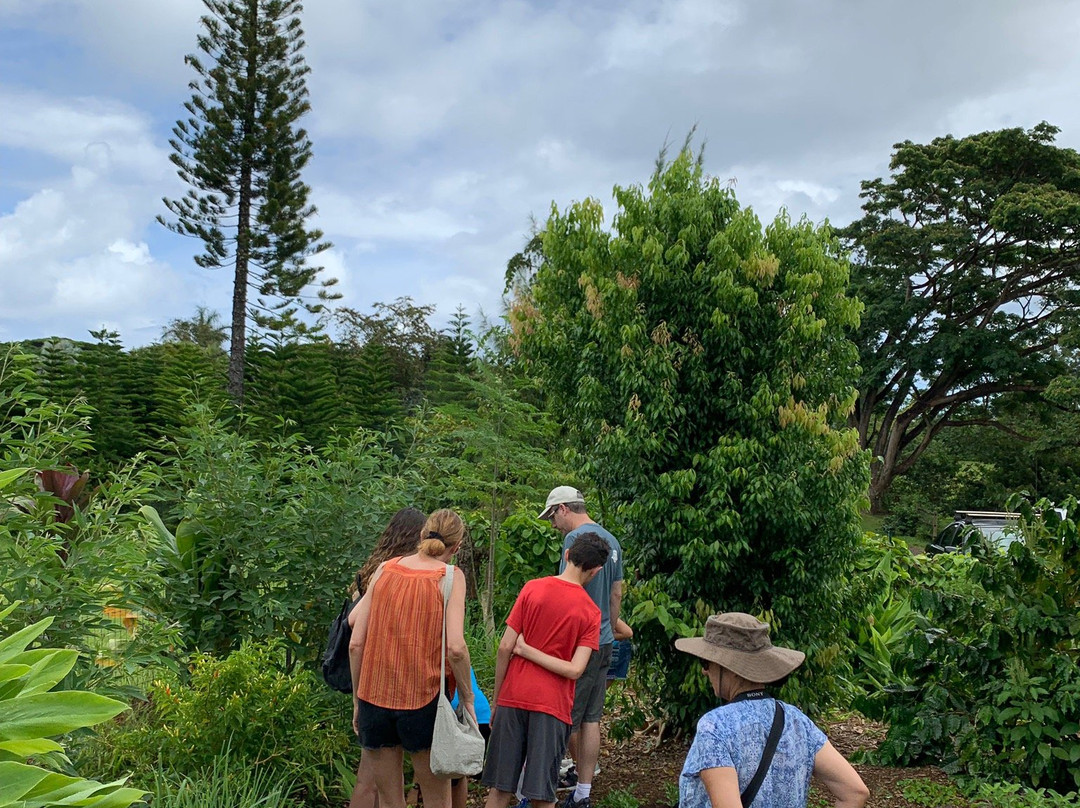 Kauai Farmacy景点图片