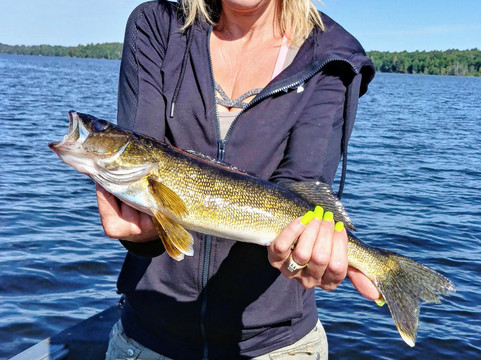 Tom Leahy's Guide Service-海沃德必去景点