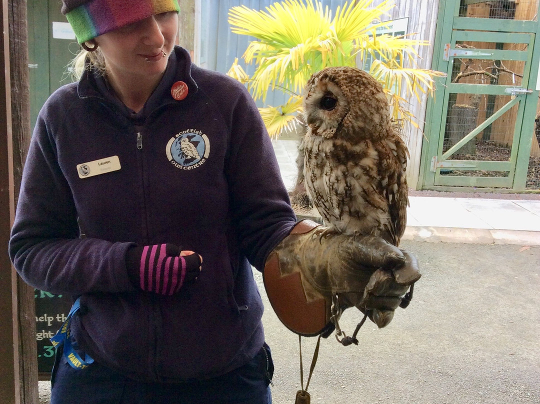 Scottish Owl Centre-Whitburn必去景点