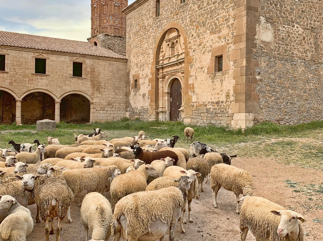 Santuario de la Virgen del Campo-特鲁埃尔必去景点