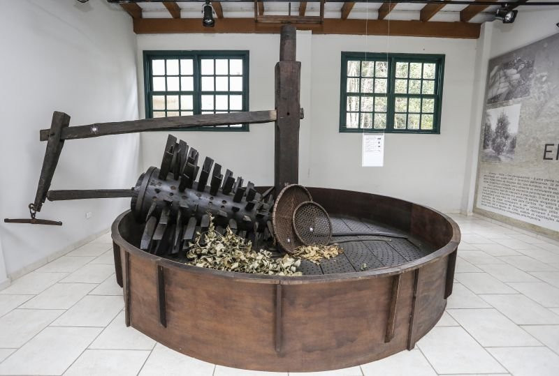 TinguiCuera Museum景点图片