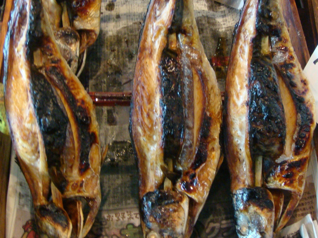 Wakasa Obama Fish Center景点图片