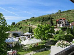 Vogtsburg im Kaiserstuhl旅游攻略图片