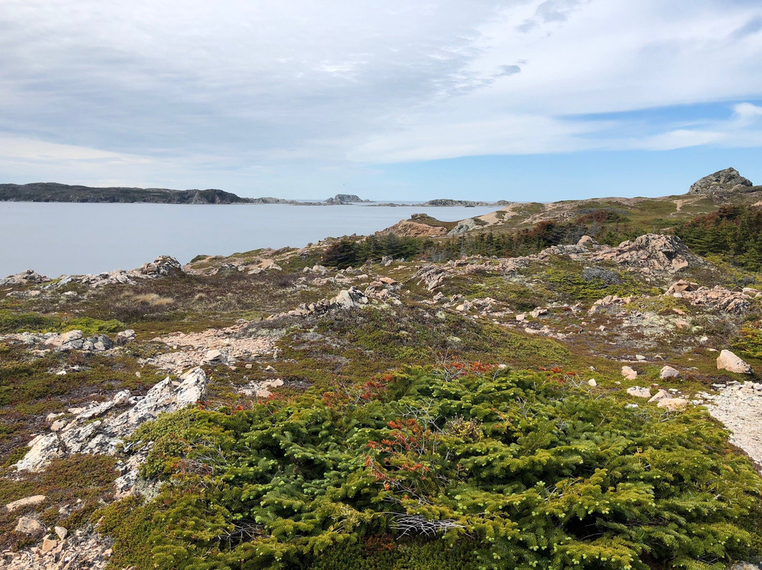 French Beach Trail景点图片