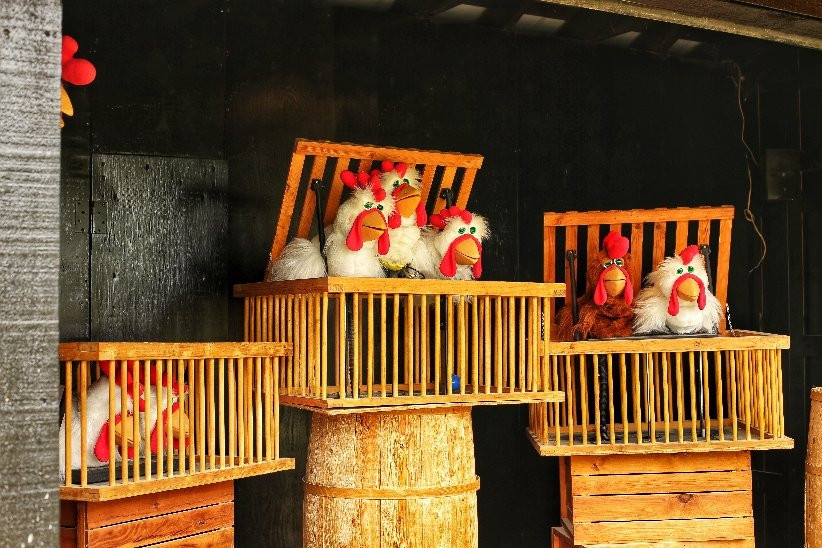 Brooks Farms-East Gwillimbury必去景点