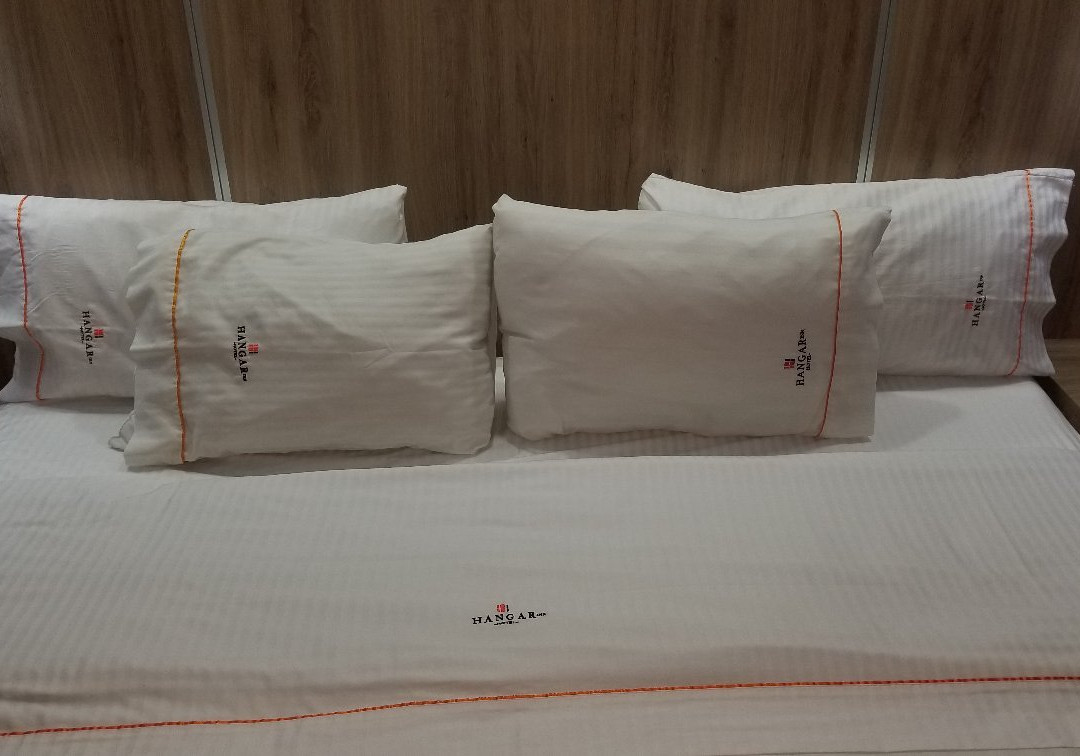 Hangar Inn Guadalajara Aeropuerto主图