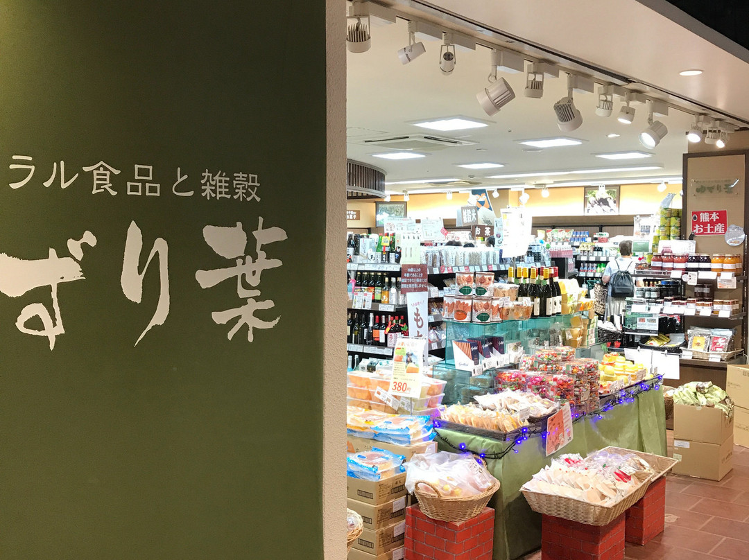 Onsen Plaza Yamaga-山鹿市必去景点