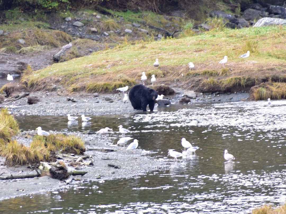 Herring Cove-凯奇坎必去景点