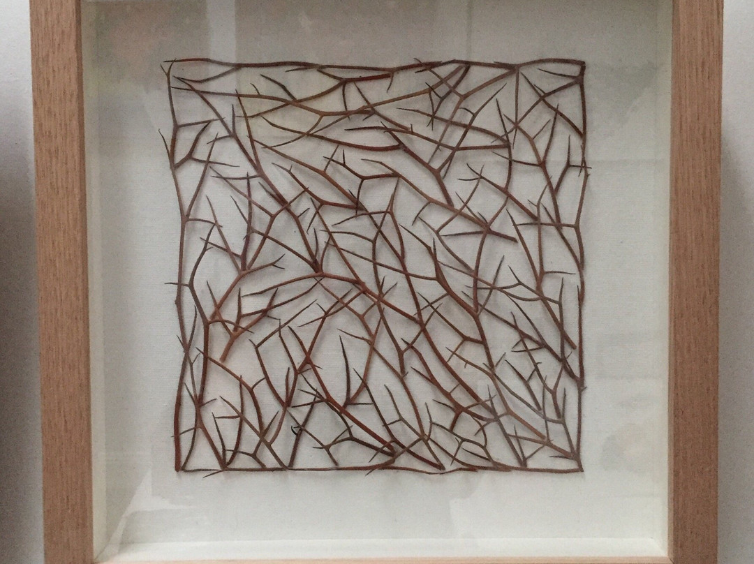 Dookie Artists Tree-Dookie必去景点