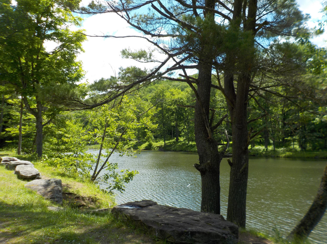 Allegany State Park景点图片