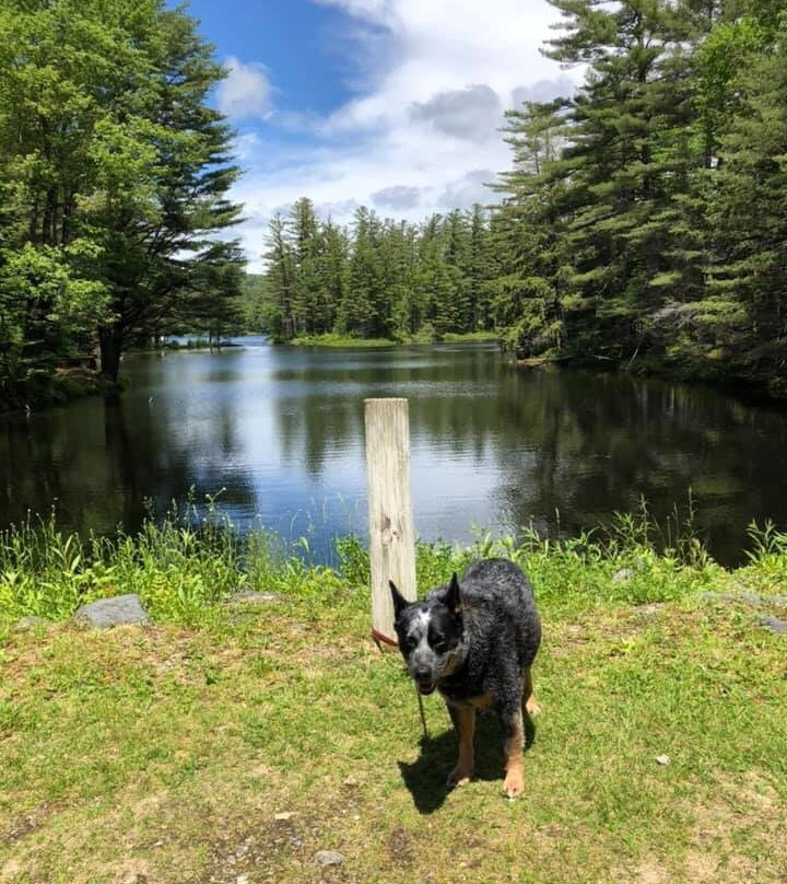 Lowell Lake State Park-Londonderry必去景点
