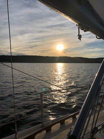 Black Swan Sailing - Day Tour-Kingston必去景点