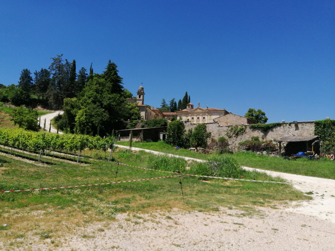 Villa Verità Fraccaroli景点图片