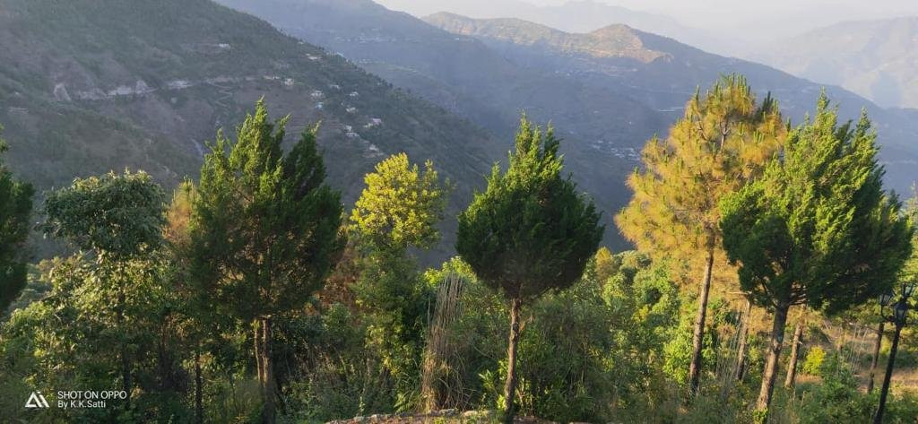 Classic Hill Top Resort主图