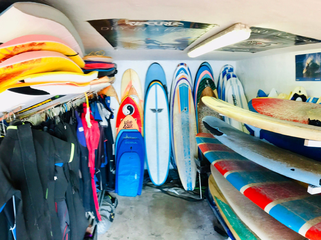 Surf's Up Mossel Bay-莫塞尔贝必去景点