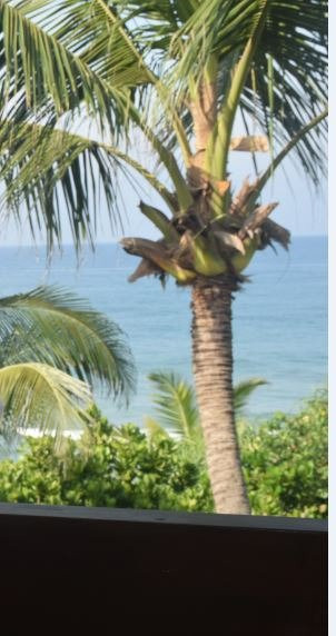 坦普尔树温泉度假村主图