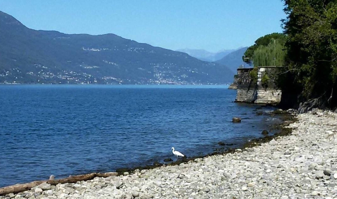 Spiaggia delle Rianne景点图片