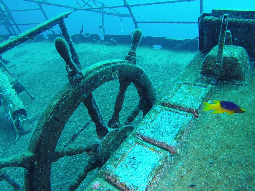 Blue Odyssey Diving景点图片