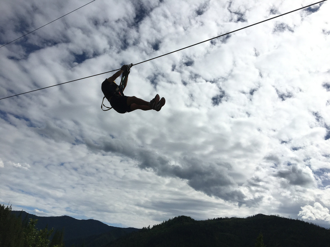 Silver Streak Zipline Tours景点图片