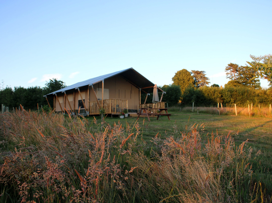Jurassic Glamping