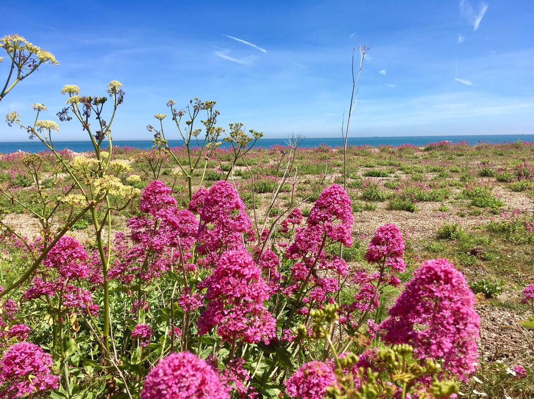 Kingsdown Beach景点图片