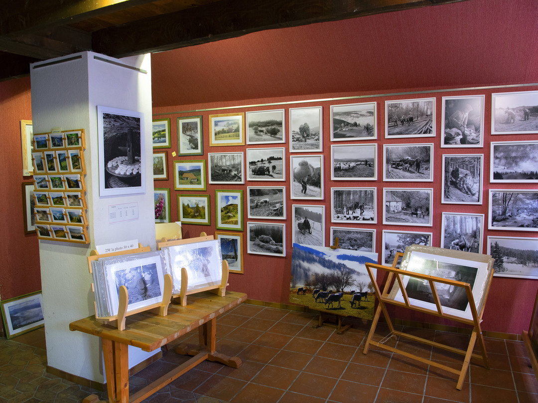 Photos des Vosges - Joel COUCHOURON景点图片