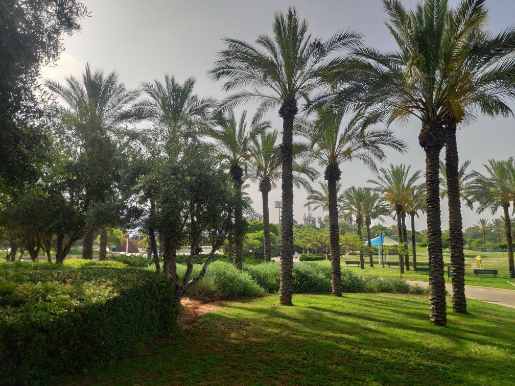 Kfar Saba Park景点图片