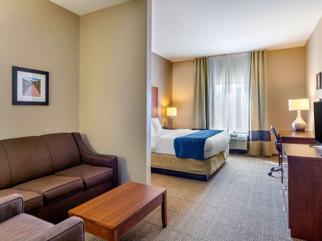 Comfort Inn South Chesterfield - Colonial Heights主图