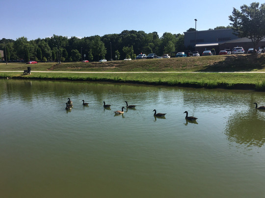 Meridian Park-Loganville必去景点