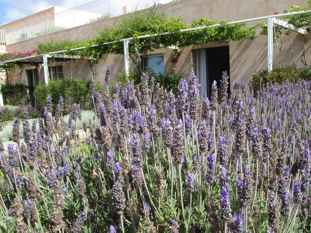 弗瑞斯特里亚普莱奈特庄园酒店主图