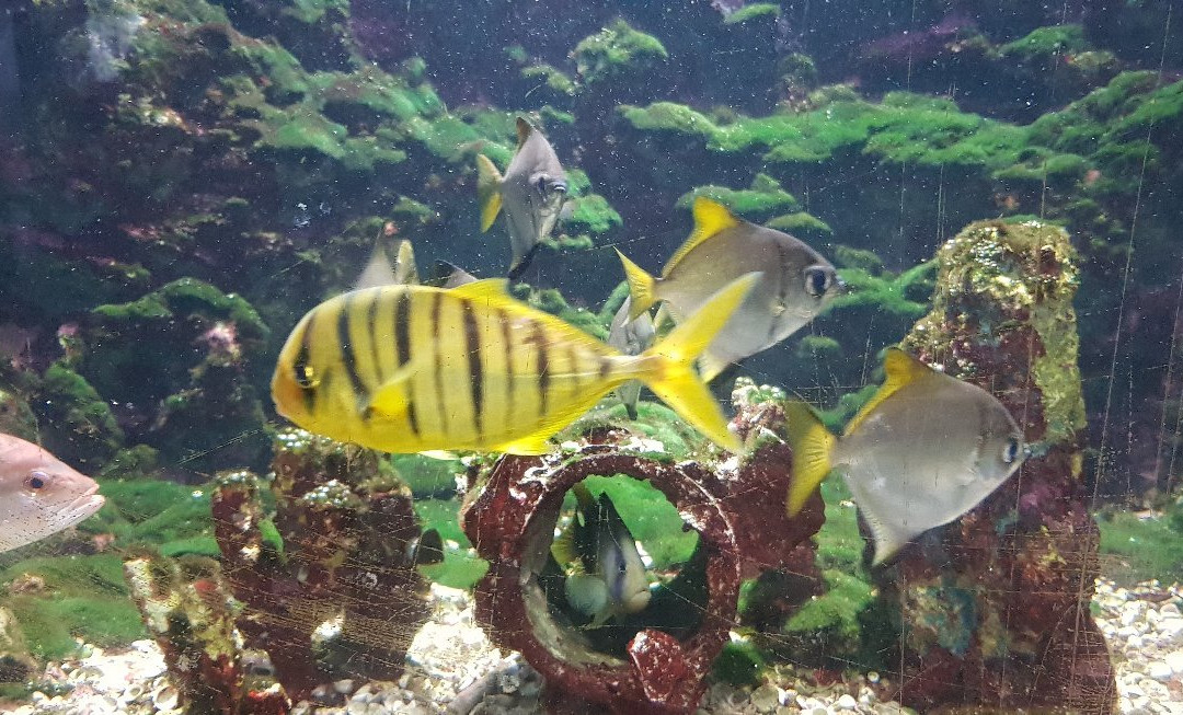 Kung Kraben Aquarium-科隆库必去景点