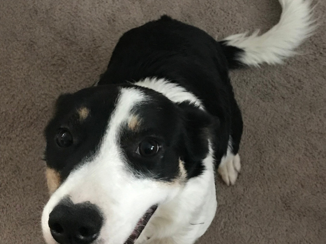 Super 8 by Wyndham Logan主图