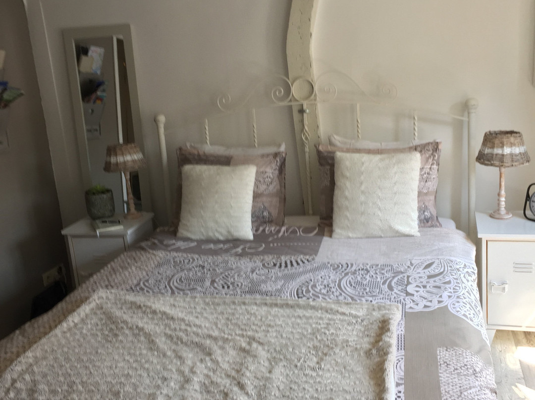 De Slapende Leeuw主图