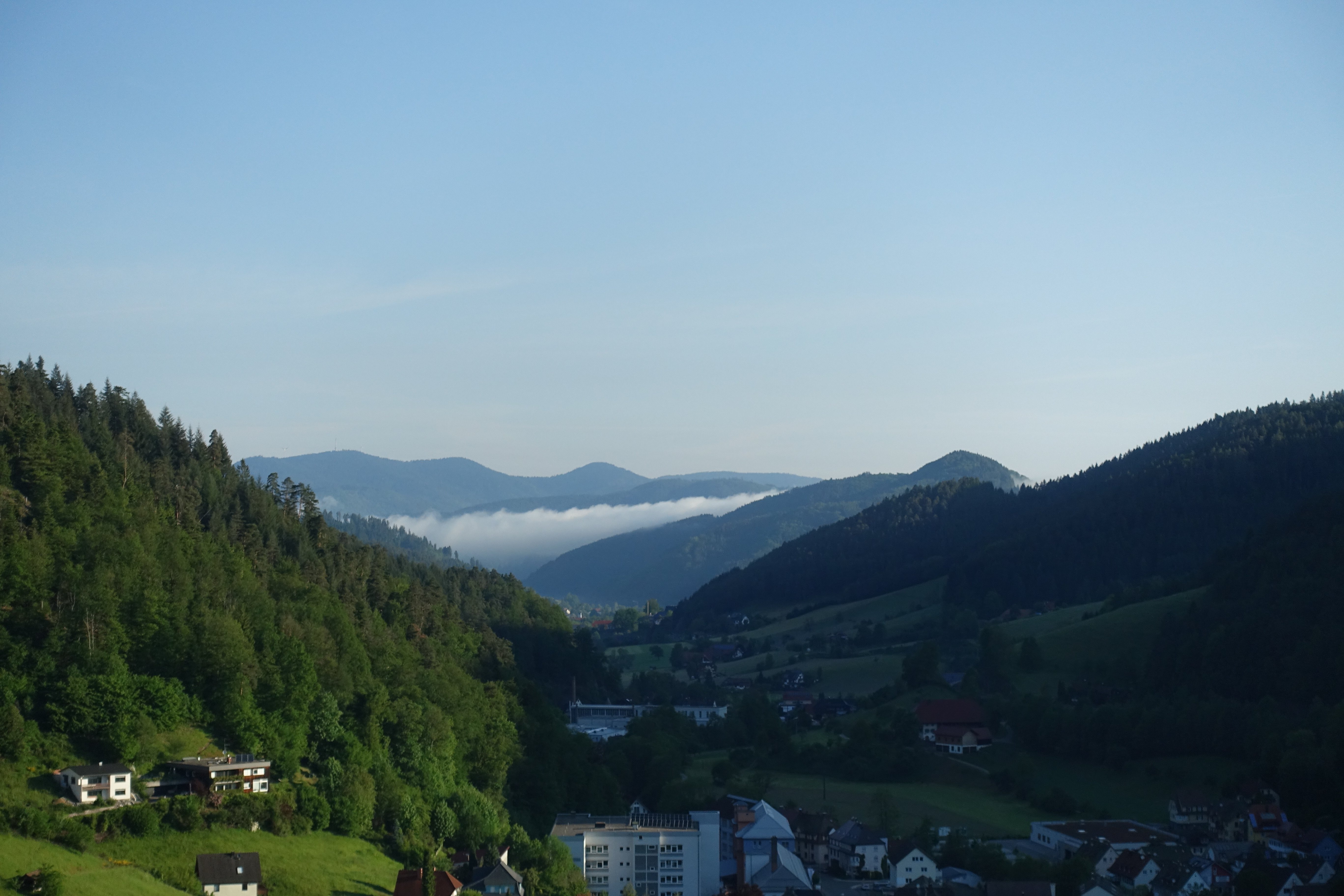 Hotel Schloss Hornberg-酒店景观