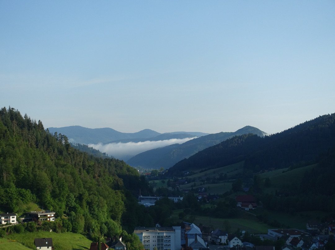 Hotel Schloss Hornberg主图