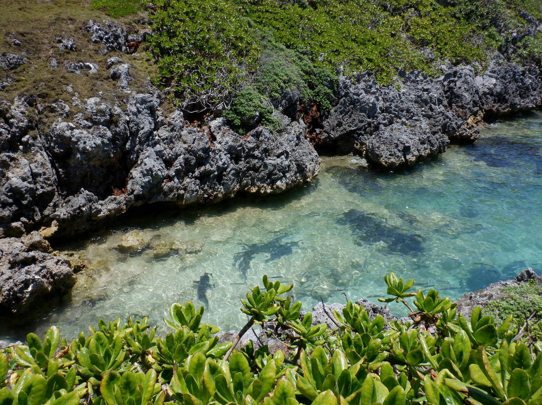 Minamijima-小笠原村必去景点